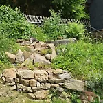 Naturhaus Am Wald Im Erzgebirge Holiday home *