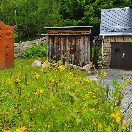펜션 Naturhaus Am Wald Im Erzgebirge Ehrenzipfel