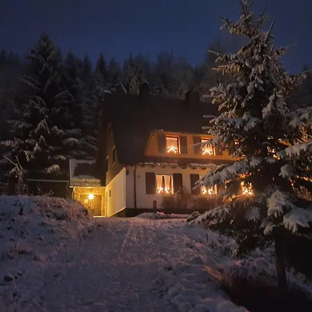 Naturhaus Am Wald Im Erzgebirge 펜션