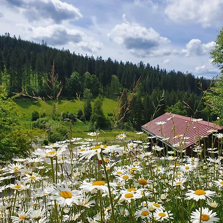 Naturhaus Am Wald Im Erzgebirge Holiday home Ehrenzipfel