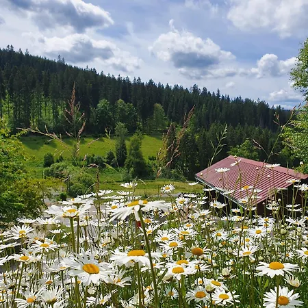 Naturhaus Am Wald Im Erzgebirge Holiday home Ehrenzipfel