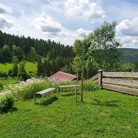 Naturhaus Am Wald Im Erzgebirge *