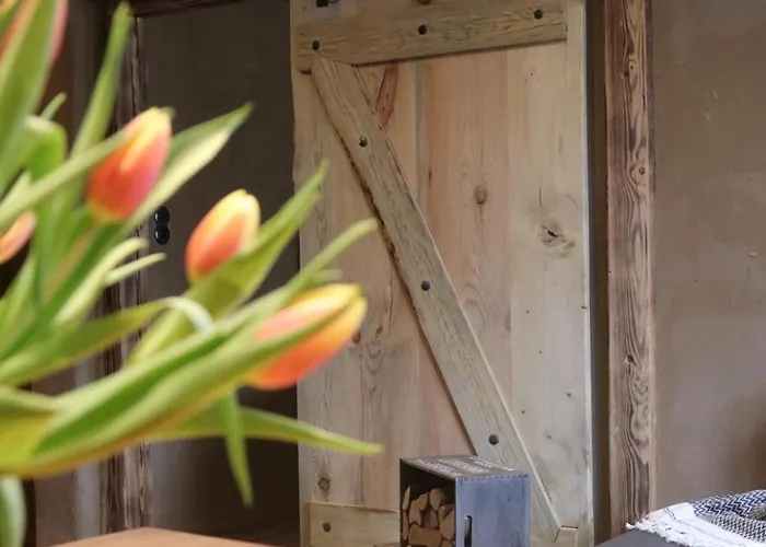 Naturhaus Am Wald Im Erzgebirge * Ehrenzipfel